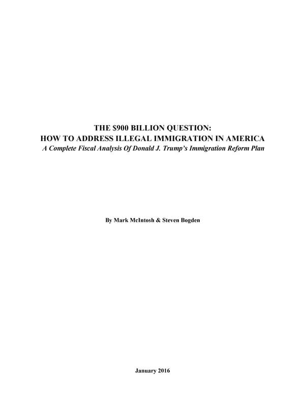 THE $900 BILLION QUESTION: ILLEGAL IMMIGRATION - Page 2