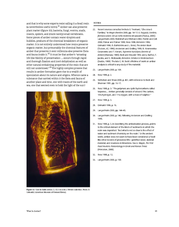 Ancient Carved Ambers in the J. Paul Getty Museum - Page 25