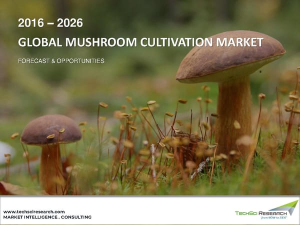 Mushroom Cultivation Market to grow at Steady Rate through 2026 - Page 1