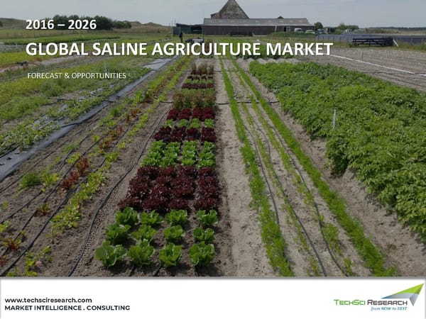 Saline Agriculture Market 2026 - Page 1