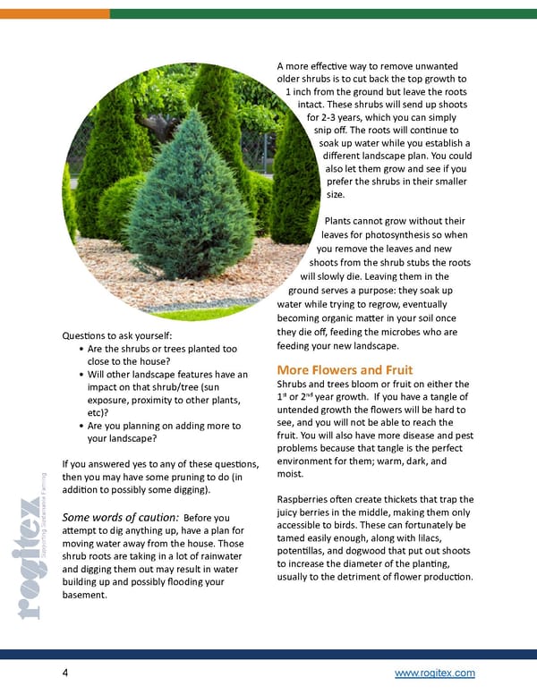 Pruning E-Book by Rogitex - Page 4