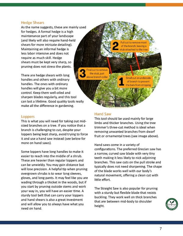 Pruning E-Book by Rogitex - Page 7