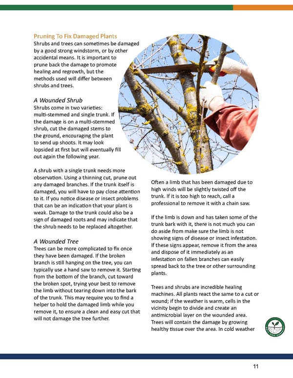 Pruning E-Book by Rogitex - Page 11