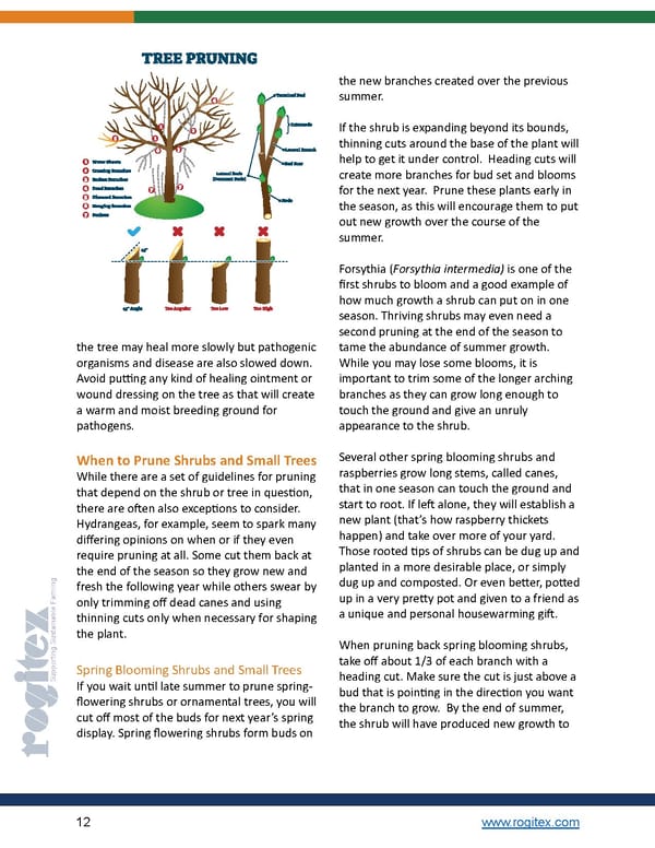 Pruning E-Book by Rogitex - Page 12