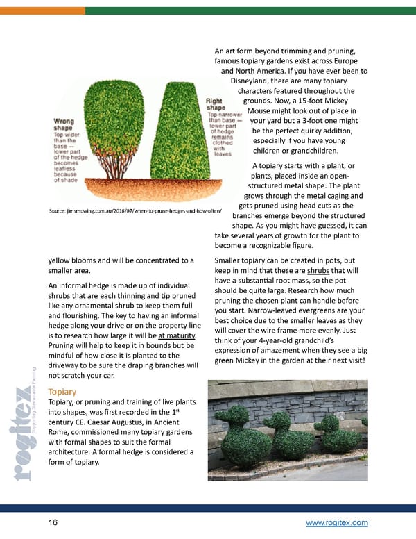 Pruning E-Book by Rogitex - Page 16