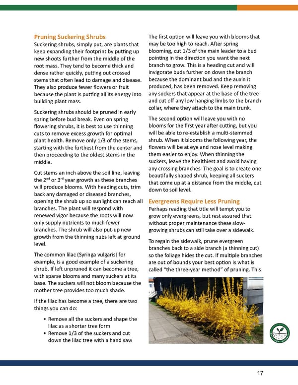 Pruning E-Book by Rogitex - Page 17