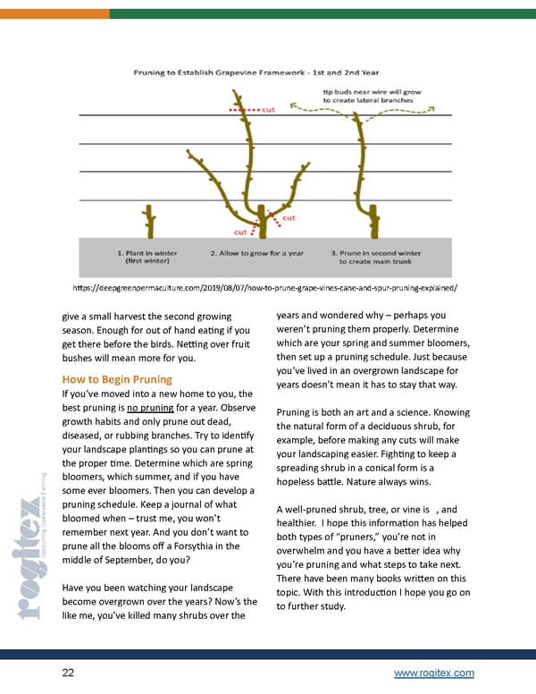 Pruning E-Book by Rogitex - Page 22