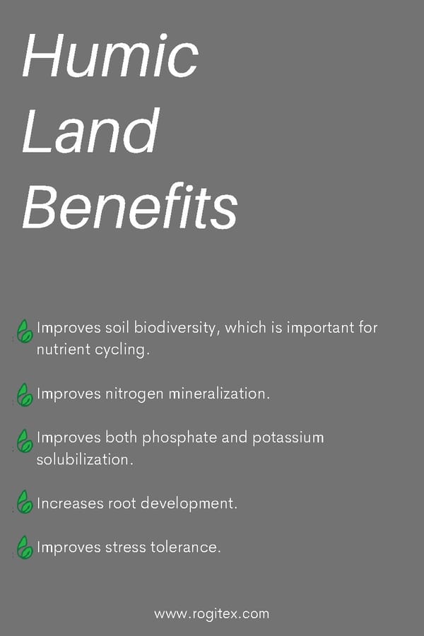 Supporting Sustainable Farming - The Benefits of Humic Land™ by Rogitex - Page 21