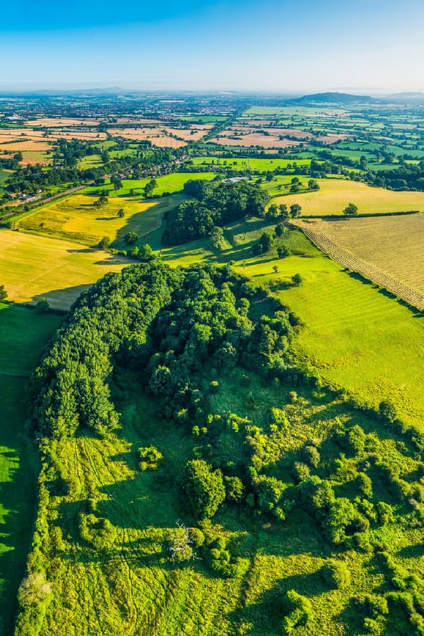 Supporting Sustainable Farming - The Benefits of Humic Land™ by Rogitex - Page 28