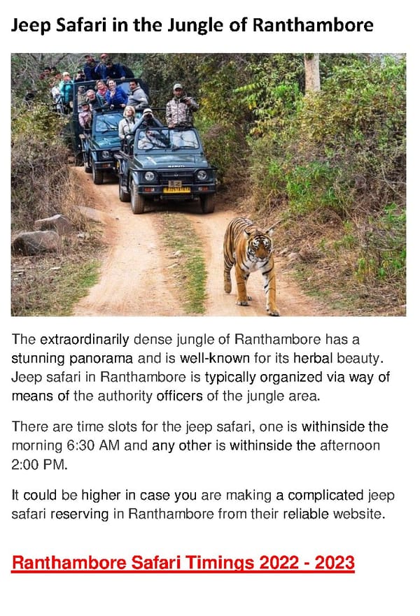 Top 10 Things to Do In Ranthambore - Page 3