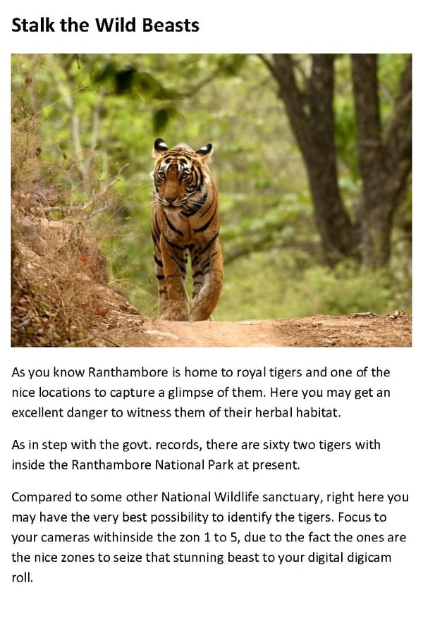 Top 10 Things to Do In Ranthambore - Page 4