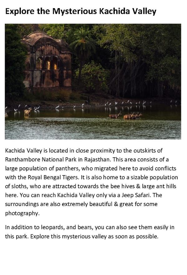 Top 10 Things to Do In Ranthambore - Page 6