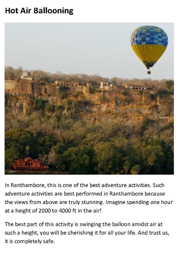 Top 10 Things to Do In Ranthambore - Page 7