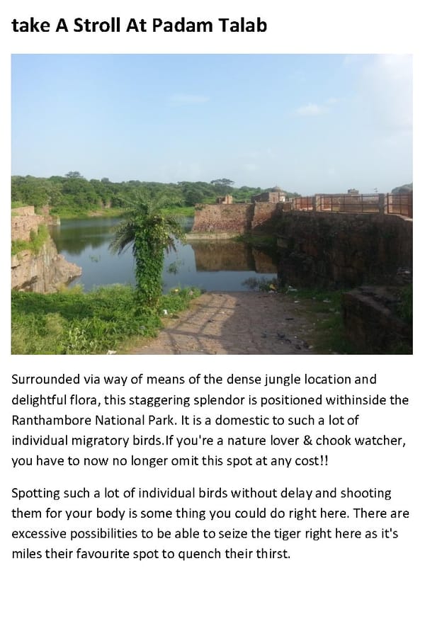 Top 10 Things to Do In Ranthambore - Page 8