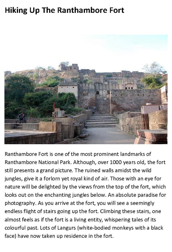 Top 10 Things to Do In Ranthambore - Page 10