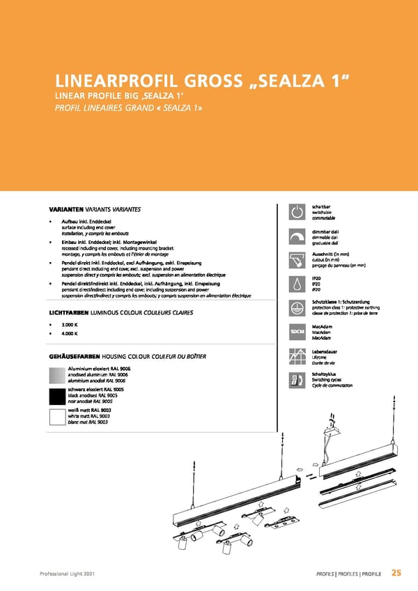 EGLO 2021 Professional Ligght - Page 27