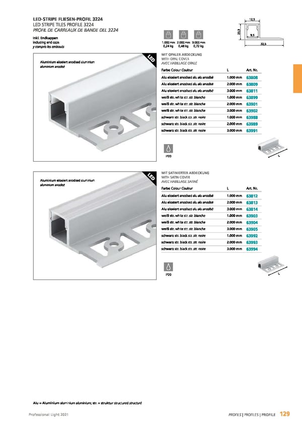 EGLO 2021 Professional Ligght - Page 131