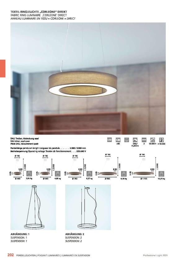 EGLO 2021 Professional Ligght - Page 204