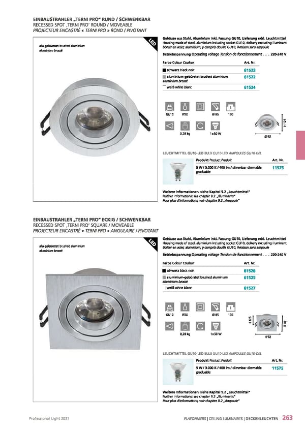 EGLO 2021 Professional Ligght - Page 265