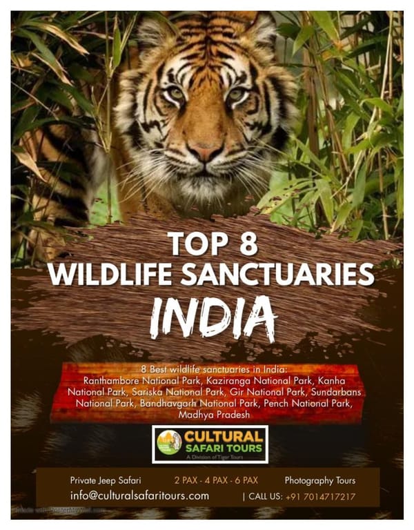 Top 8 wildlife sanctuaries in India - Page 1