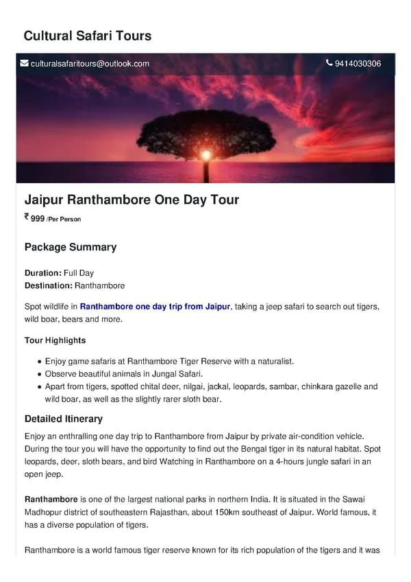 Jaipur Ranthambore One Day Tour - Page 1