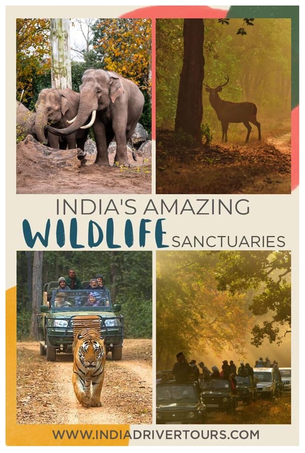 INDIAS MOST FAMOUS NATIONAL PARKS THAT YOU MUST VISIT - Page 1