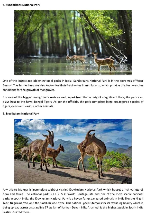 INDIAS MOST FAMOUS NATIONAL PARKS THAT YOU MUST VISIT - Page 4