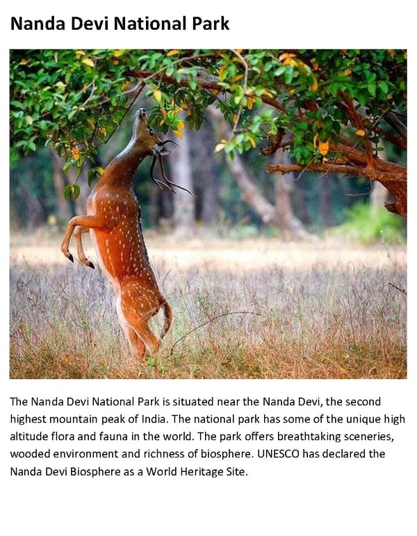 TOP 8 Wildlife Sanctuaries in North India - Page 7