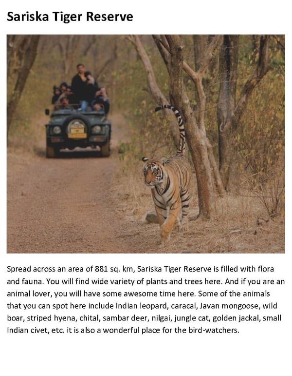 TOP 8 Wildlife Sanctuaries in North India - Page 9