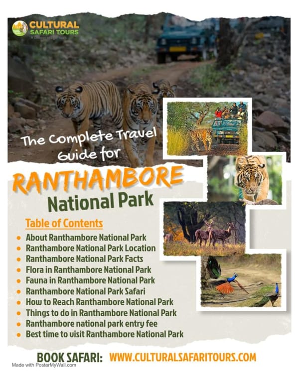 Complete Travel Guide To Ranthambore National Park - Page 1