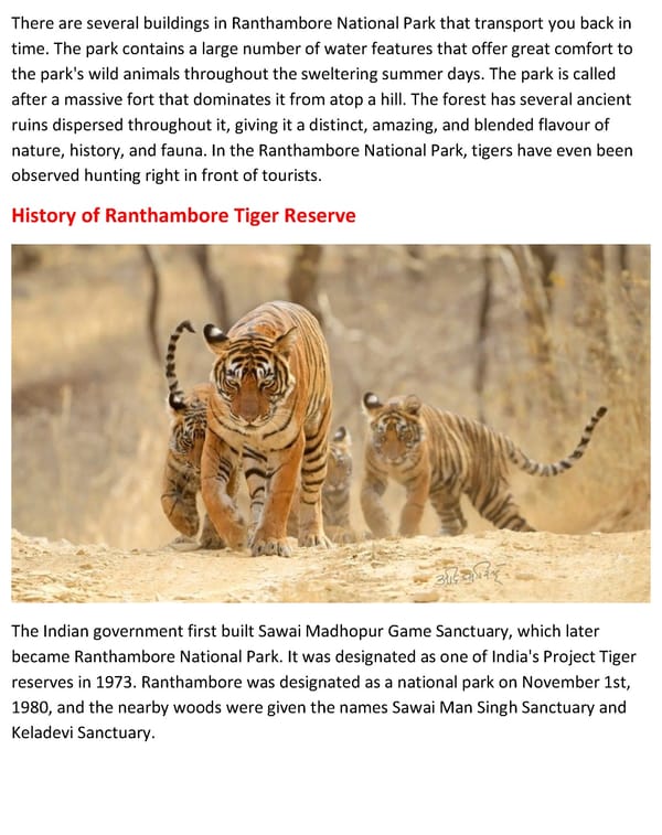 Complete Travel Guide To Ranthambore National Park - Page 3