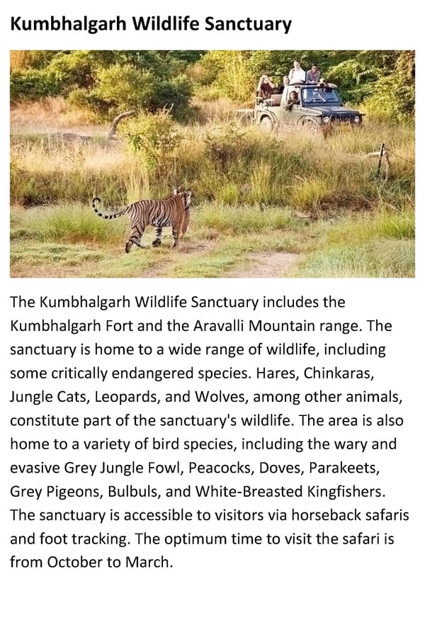 Top 10 National Parks and Wildlife Sanctuaries in Rajasthan - Page 8