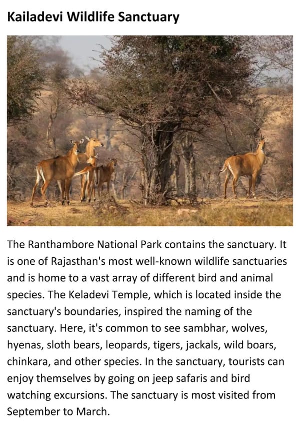 Top 10 National Parks and Wildlife Sanctuaries in Rajasthan - Page 11