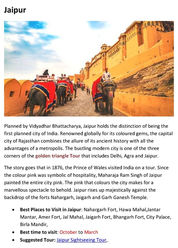 Top 10 Destinations for the First Time Traveler to india - Page 5