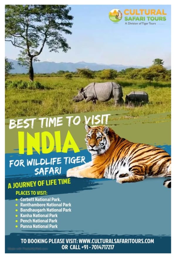 Best Time To Visit India for Wildlife Tiger Safari - Page 1