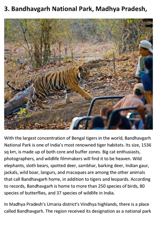 Best Time To Visit India for Wildlife Tiger Safari - Page 6