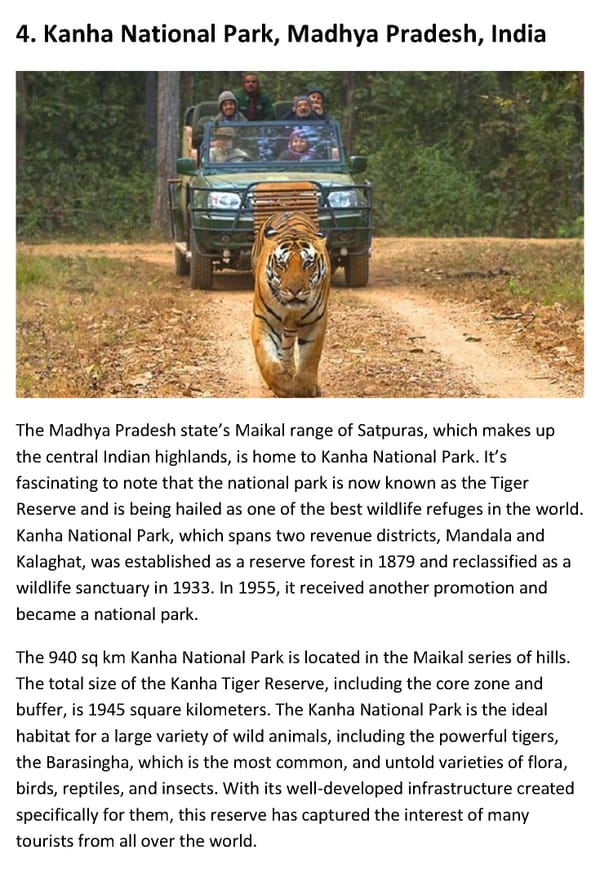 Best Time To Visit India for Wildlife Tiger Safari - Page 8