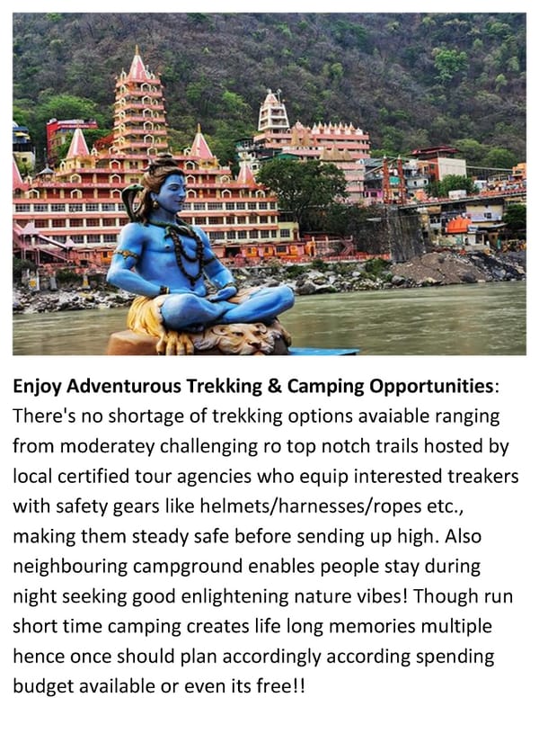 The Top Things to do in Haridwar and Rishikesh - Page 5