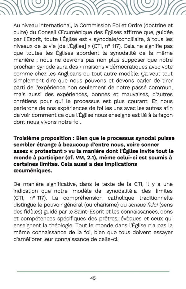 Un compagnon de poche pour la synodality - Page 53