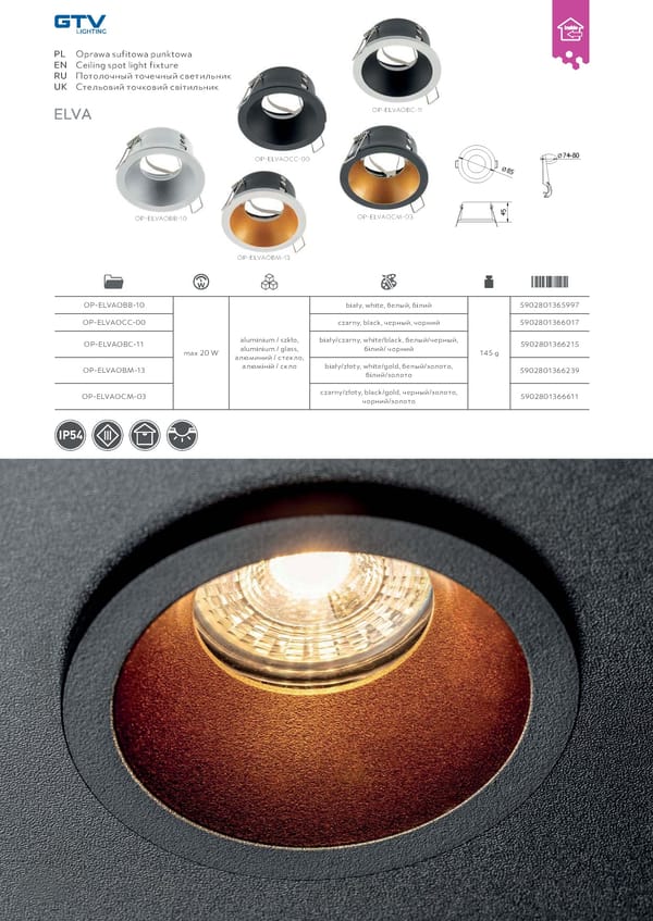 Katalog GTV 2021 Inwestycyjne - Page 231