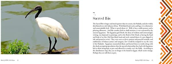 Birds of Africama 1 - Page 10