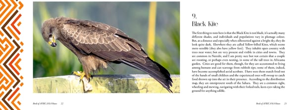 Birds of Africama 1 - Page 12