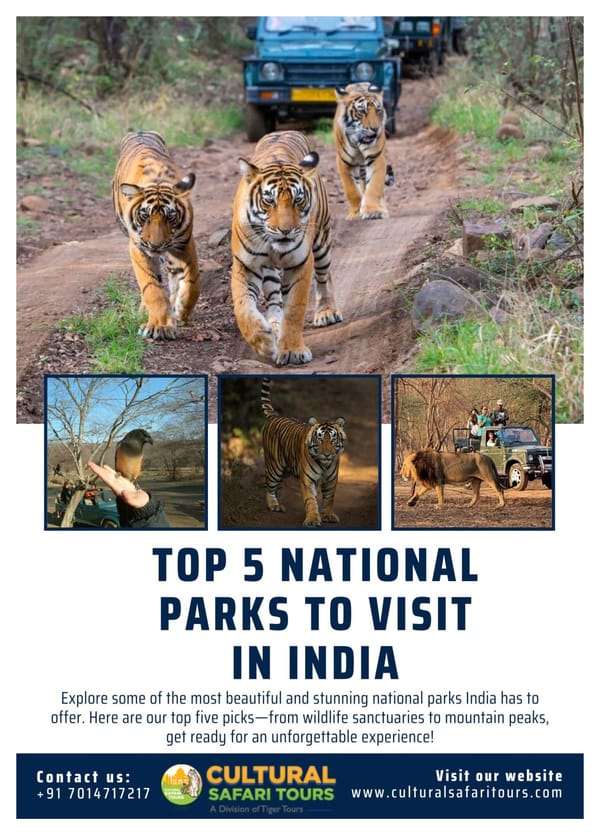 Top 5 National Parks to Visit in India – Get Ready for a Wild Adventure! - Page 1