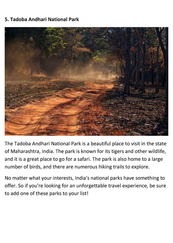 Top 5 National Parks to Visit in India – Get Ready for a Wild Adventure! - Page 6