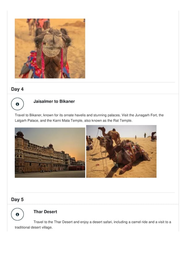 Rajasthan Desert Safari Tour Package - Page 3