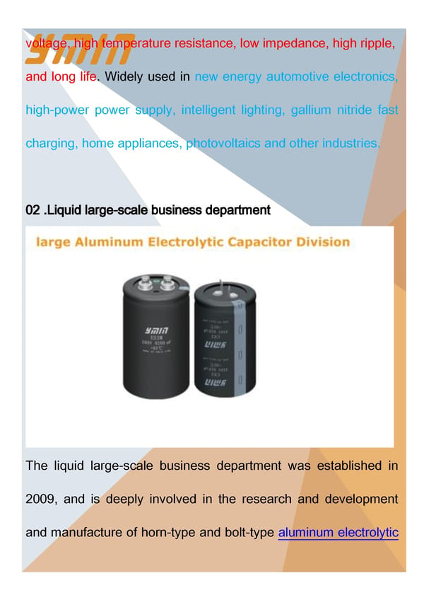 Introduction of Shanghai Yongming Electronic - Page 4