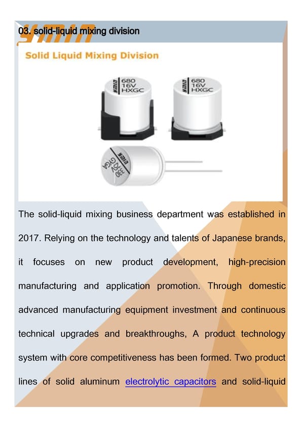 Introduction of Shanghai Yongming Electronic - Page 6