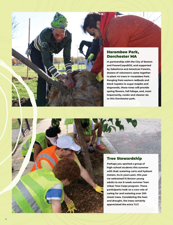 Speak for the Trees Annual Report 2022 - Page 6