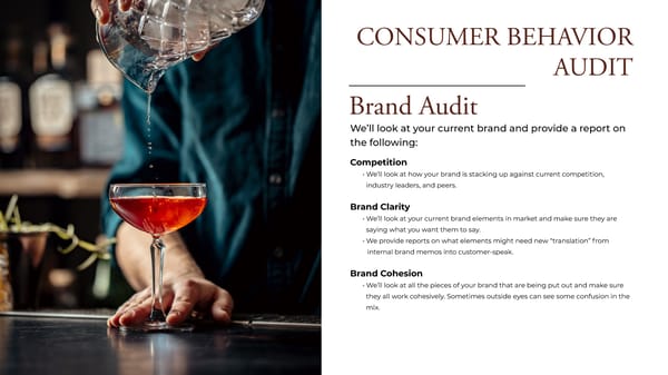 Consumer Behavior Audit - Page 8