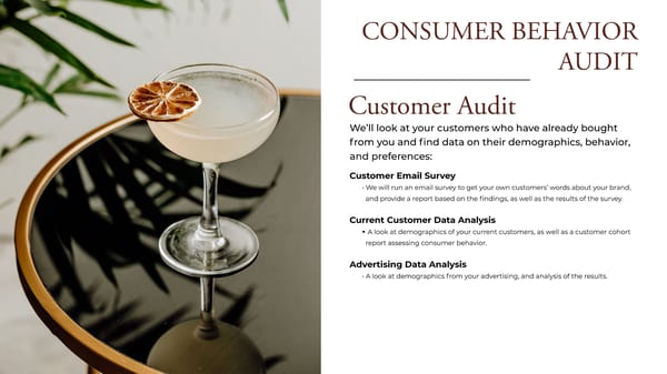 Consumer Behavior Audit - Page 10